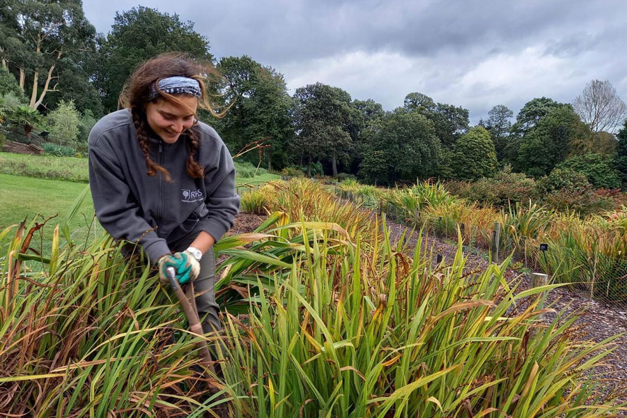 Become a gardener